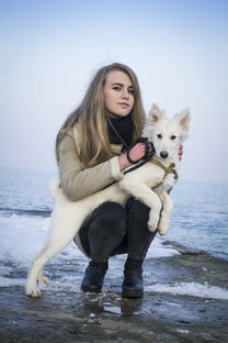 北美狗狗牙刷品牌大盘点，呵护爱犬口腔健康的秘密武器
