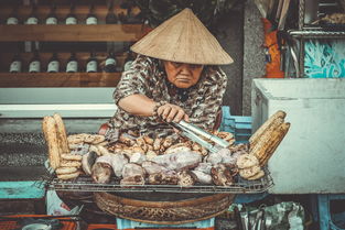 揭秘朝阳小吃品牌，街头美食的魅力与传承