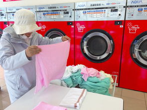 揭秘日本干洗喷雾衣服品牌，轻松应对衣物护理难题！