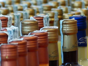 西藏白酒品牌大全购买网—你的酒类购物宝典