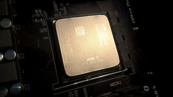 台式电脑AMD品牌CPU价格解析