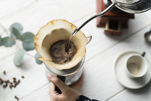 中国的澜记奶茶品牌公司，打造独特的奶茶文化体验