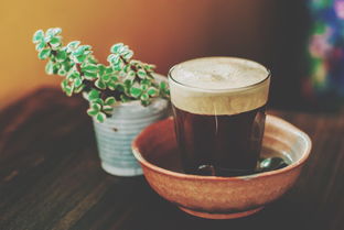 柑橘茶叶礼盒品牌大解析