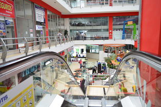 长乐茶叶加盟品牌店厂家深度解析