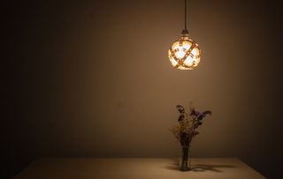 上海灯具品牌大全—点亮你的家居生活