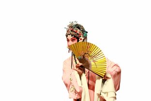 汉服侠女品牌，穿越千年的文化传承与现代时尚的完美融合