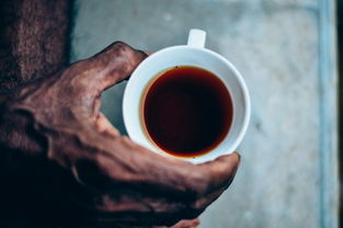 茶叶籽油哪个品牌好？看完这篇你就明白