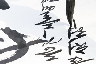 打造书法艺术新高度—书法家教育品牌解析与案例分享