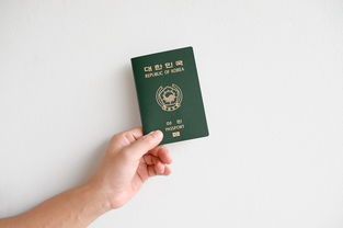 世界手机品牌强国排名