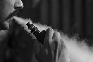 电铅笔推荐品牌平价—性价比之选大解密