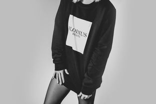 品牌西服领带，时尚与品味的完美融合
