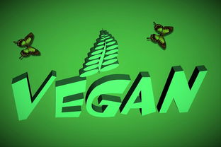 公司网站推广员实战指南，如何让你的网站火起来？