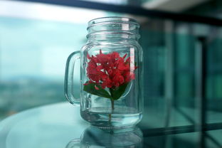 揭秘小众花朵水杯品牌，那些藏在花海中的清新日常