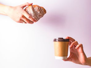 硅胶铲子品牌排行榜，热门选择一网打尽
