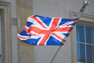 英国进口墙面挂件品牌深度解析