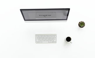 空气测量仪品牌大盘点—选购不再迷茫