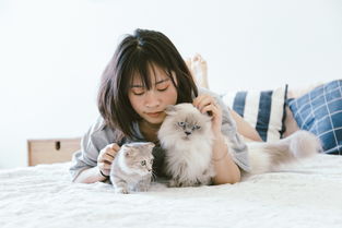 养猫人扫地机推荐品牌