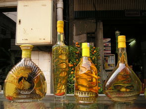 江西中低端白酒品牌深度解析