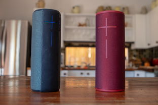 揭秘极致性价比电脑音响品牌，音质与价格的完美平衡！