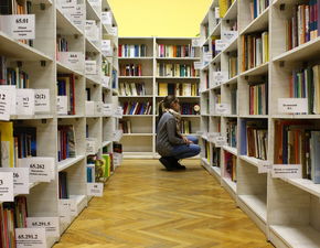 江西舞蹈学校加盟品牌指南