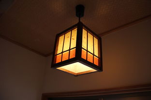 日本十大品牌厨房吊顶灯精选