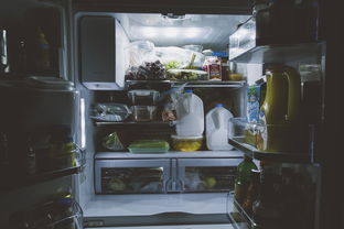 揭秘冰箱真空收纳，美食品牌如何焕发新活力！