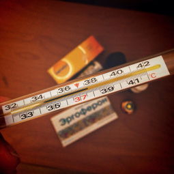 盘点那些年我们一起用过的普通打印机—品牌大揭秘！