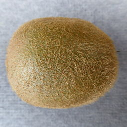 蚕丝尿不湿十大品牌大比拼