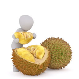 蔬果零食品牌全攻略