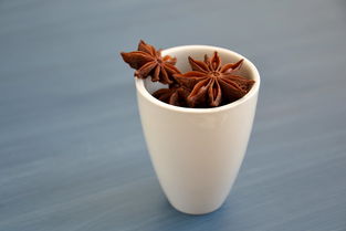漱口水品牌大盘点，效果测评，帮你找到最适合的那一款！