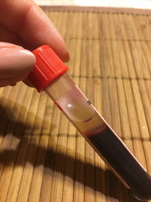 最好用的墙皮铲子品牌大解析