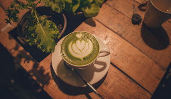 木头茶叶，探寻好喝品牌的背后故事