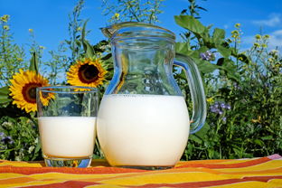 夏日炎炎，女童水杯品牌助力宝贝清凉一夏