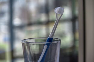 牙刷杯品牌排行大盘点，谁才是你的口腔清洁好伙伴？