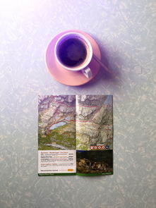 旅行必备神器—揭秘旅行品牌水杯的神奇魅力