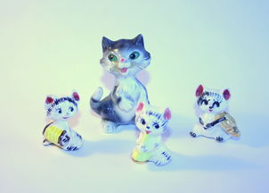 适合猫主人玩的玩具品牌全解析