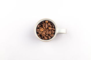 南方茶叶的品牌有哪些？一起来聊聊