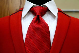 法国西服男装品牌，深度解析与实例探究