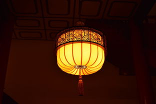 灯池吊顶板子品牌怎么样