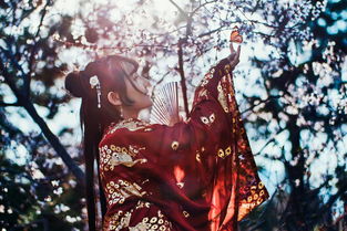 汉服推广品牌，传统之美，现代之选