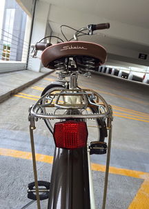 童车永久品牌自行车图片展示与解析