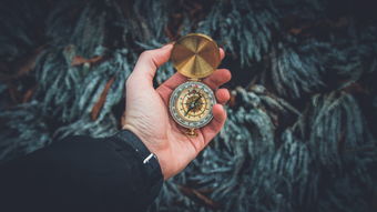 探索黄金手链的奥秘，弹簧品牌的魅力
